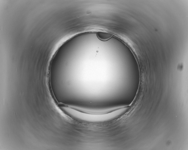 X0000093601379200711051149