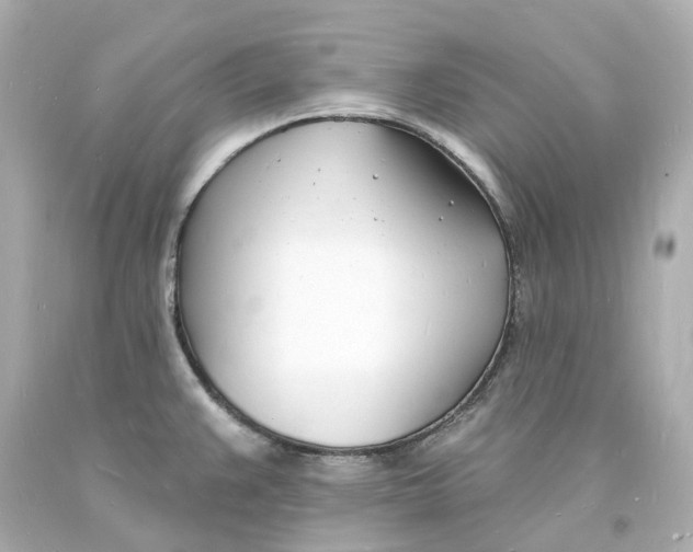 X0000093601383200711051149