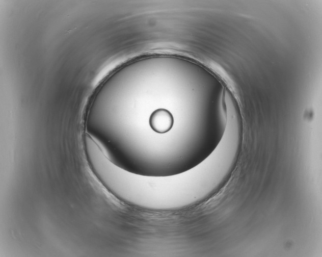 X0000093601384200711051149