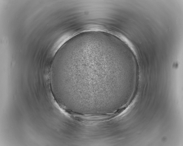 X0000093601385200711051149