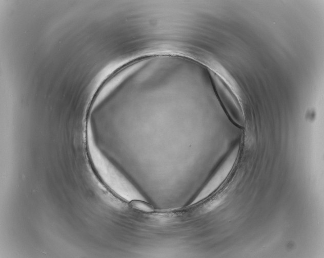 X0000093601388200711051149