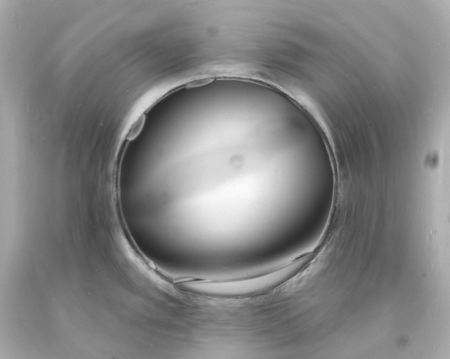 X0000093601389200711051149