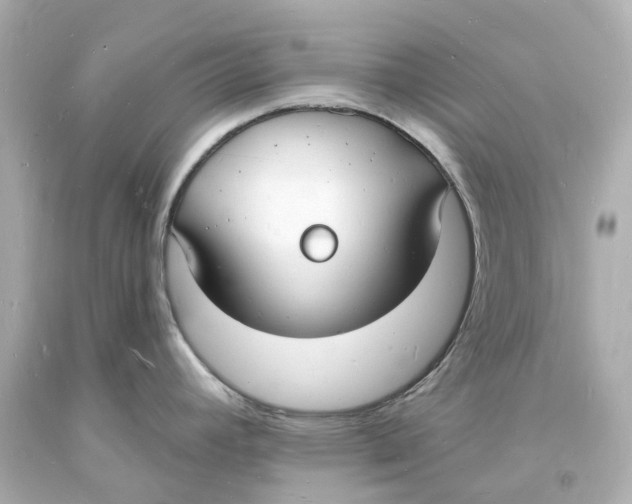 X0000093601392200711051149