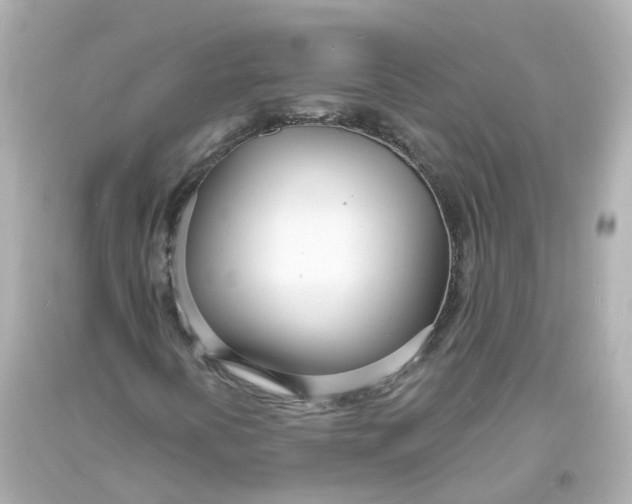 X0000093601394200711051149