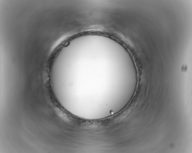 X0000093601400200711051149