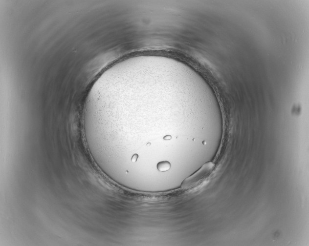 X0000093601401200711051149