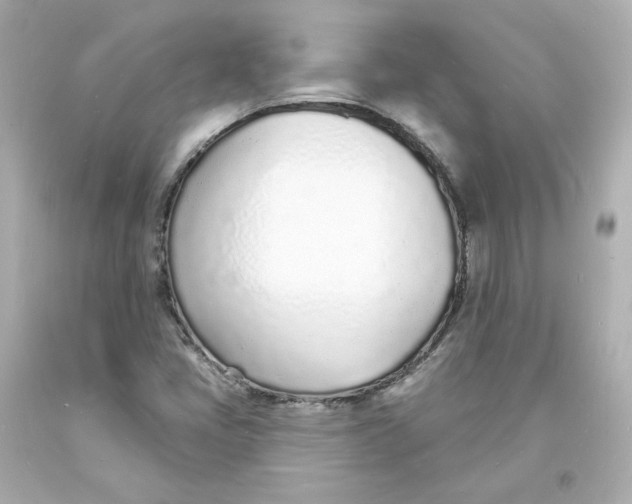 X0000093601405200711051149