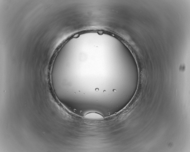 X0000093601412200711051149