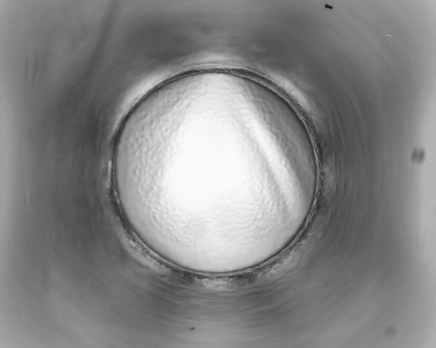 X0000093601413200711051149