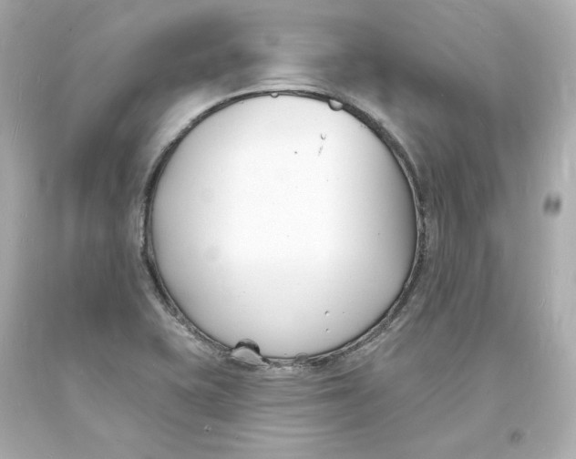 X0000093601415200711051149