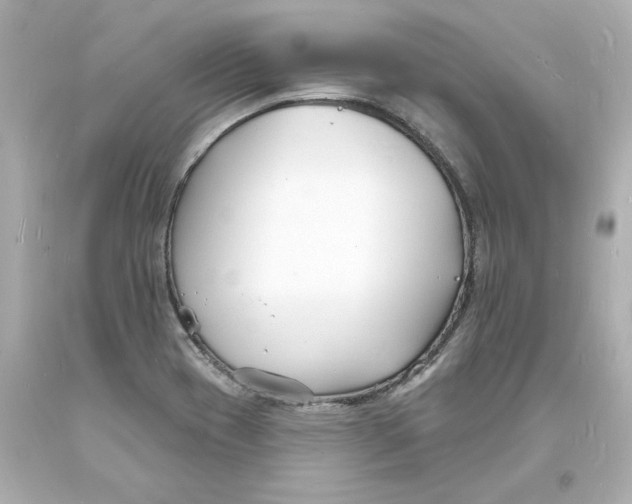 X0000093601417200711051149