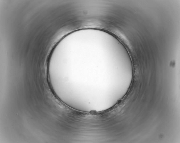 X0000093601419200711051149