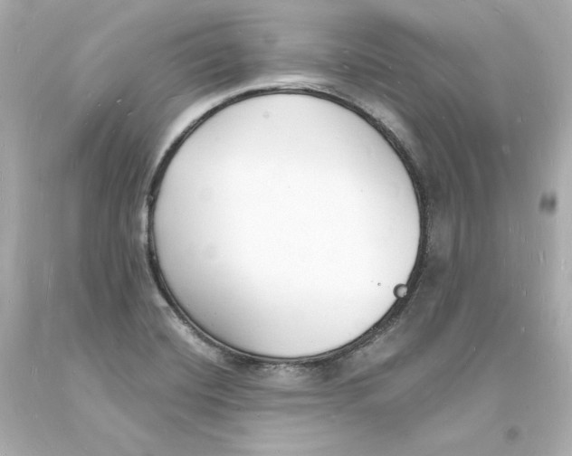 X0000093601420200711051149