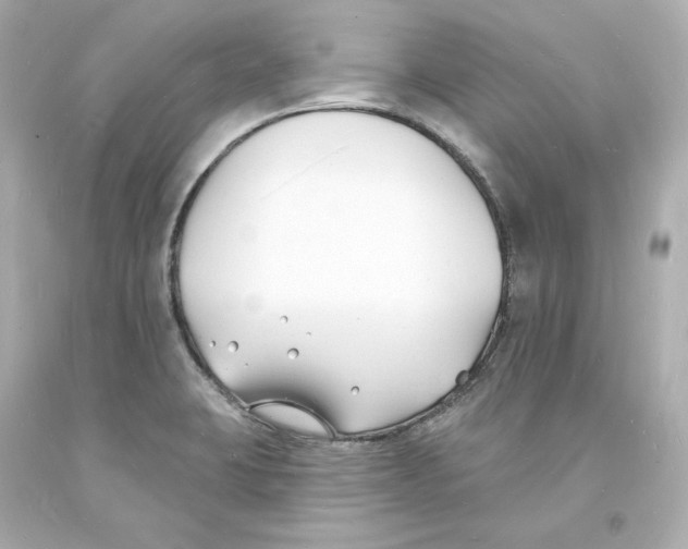 X0000093601423200711051149