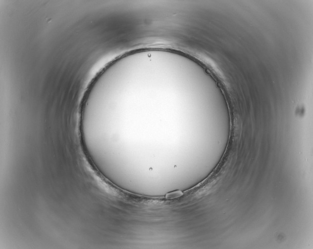 X0000093601424200711051149