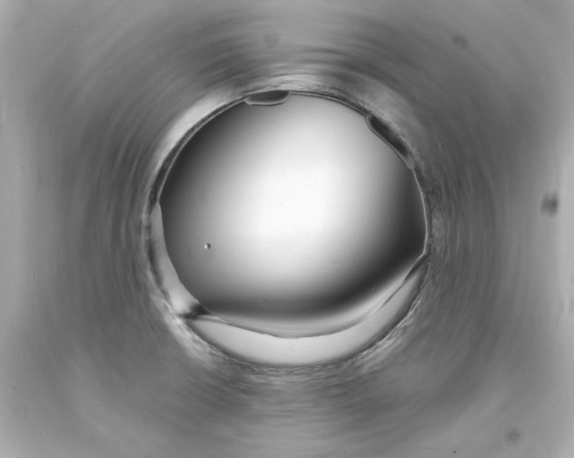 X0000093601426200711051149