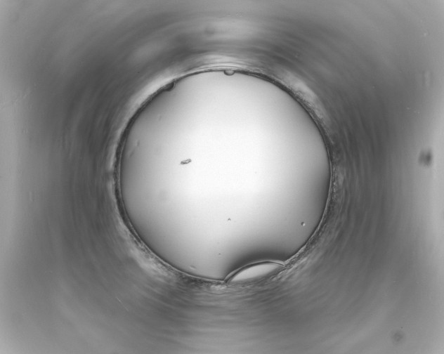 X0000093601427200711051149