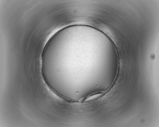 X0000093601428200711051149