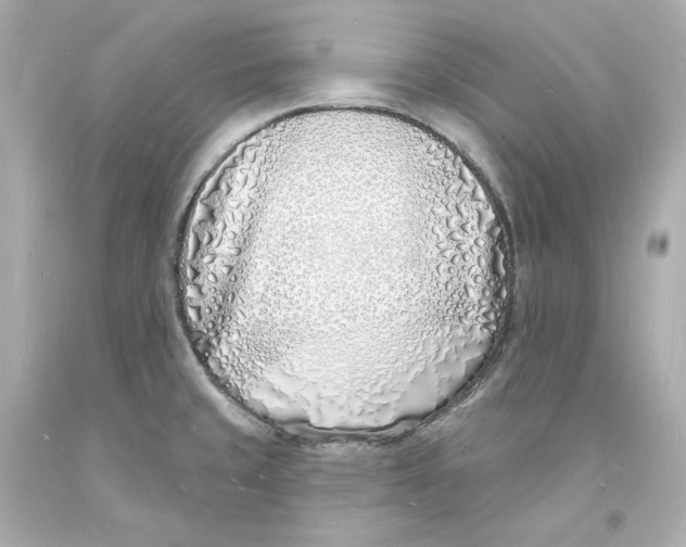 X0000093601429200711051149