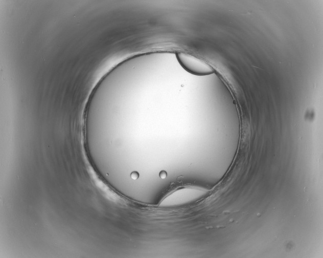 X0000093601439200711051149