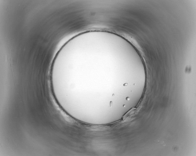 X0000093601440200711051149