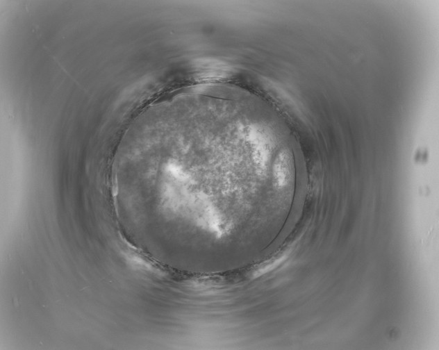 X0000093601441200711051148