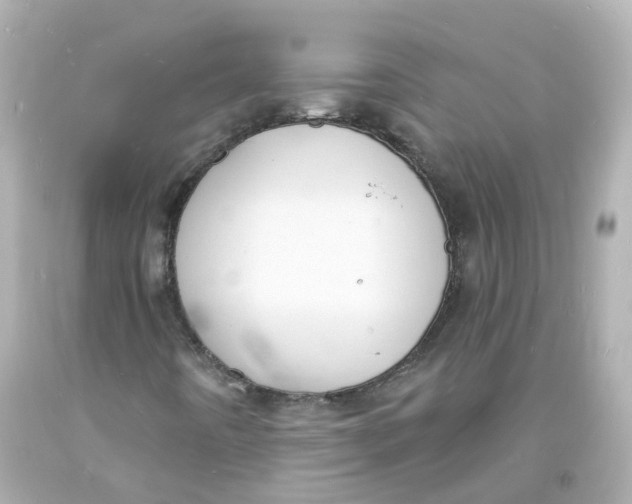 X0000093601442200711051148