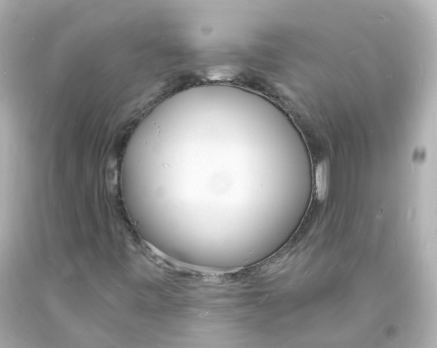 X0000093601443200711051148