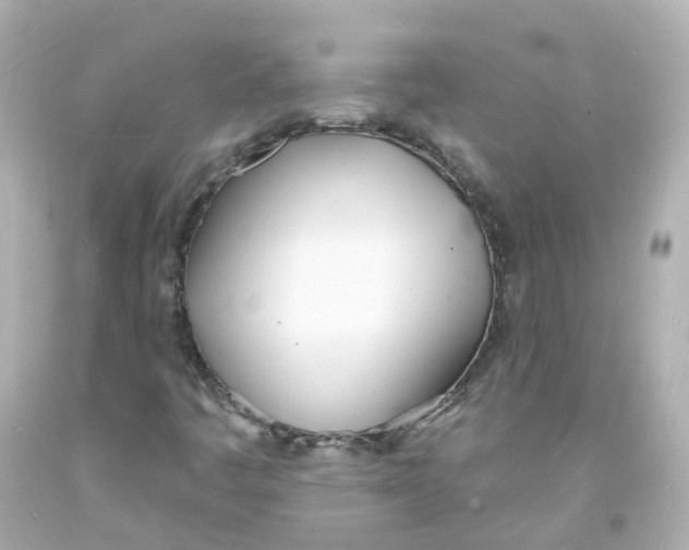 X0000093601445200711051148