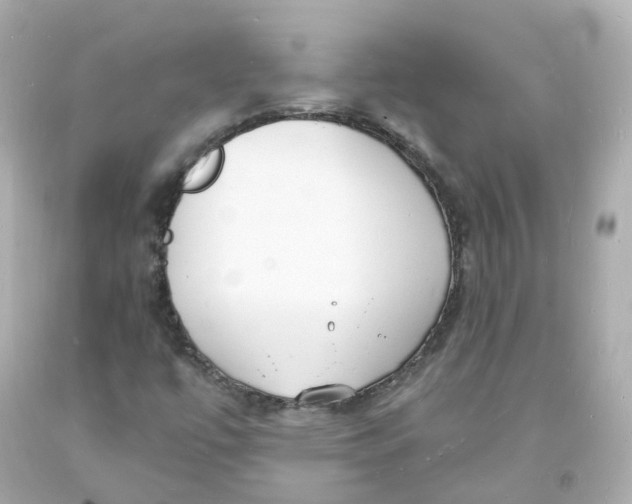 X0000093601447200711051148