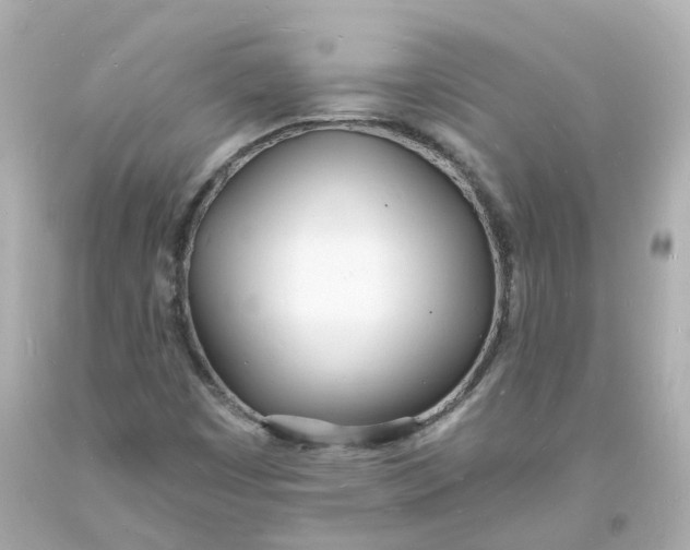 X0000093601449200711051148