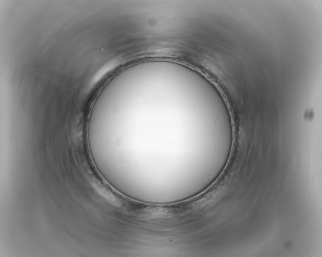 X0000093601450200711051148