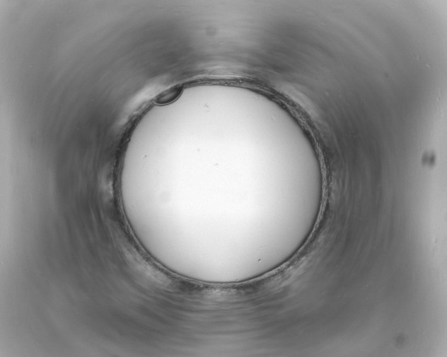 X0000093601451200711051148