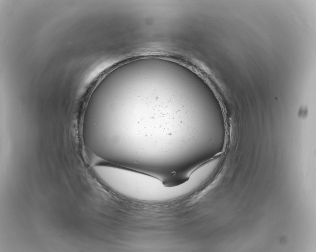 X0000093601453200711051148