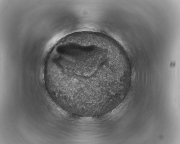 X0000093601455200711051148