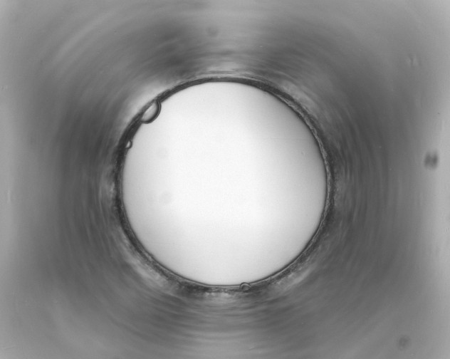 X0000093601458200711051148