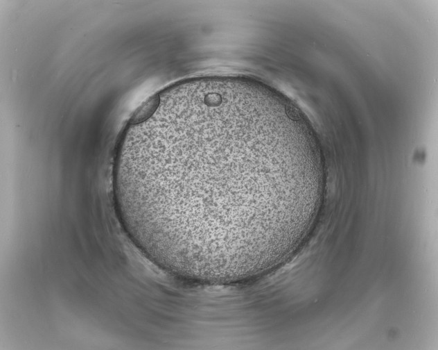 X0000093601459200711051148