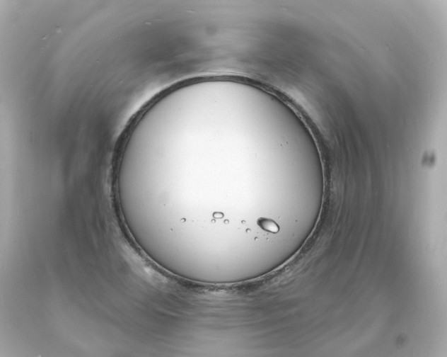 X0000093601460200711051148