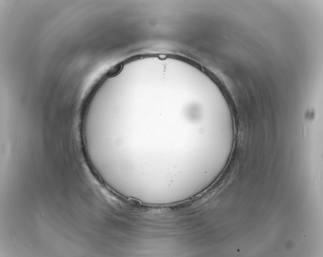 X0000093601464200711051148