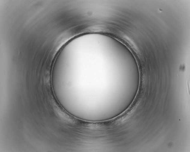 X0000093601465200711051148