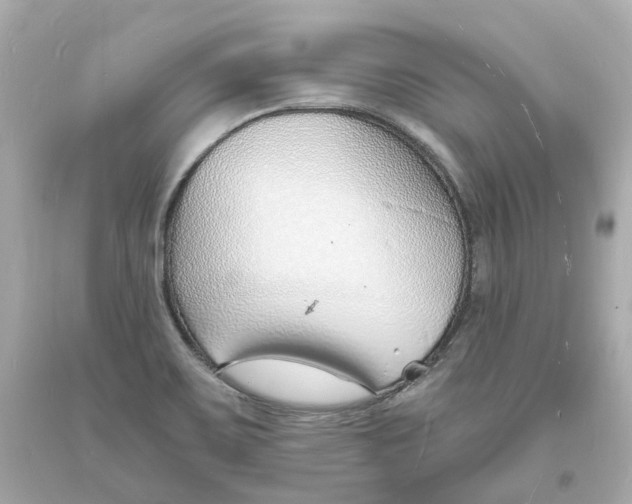 X0000093601467200711051148