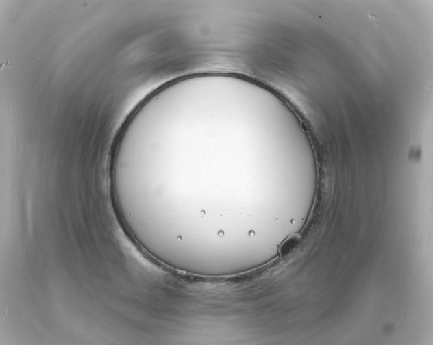 X0000093601468200711051148