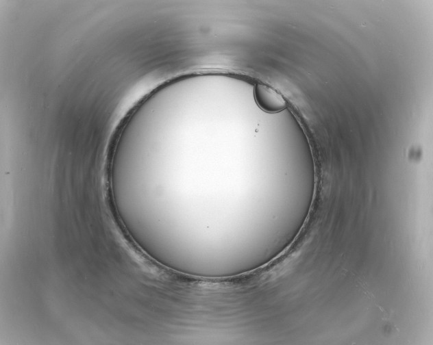 X0000093601469200711051148