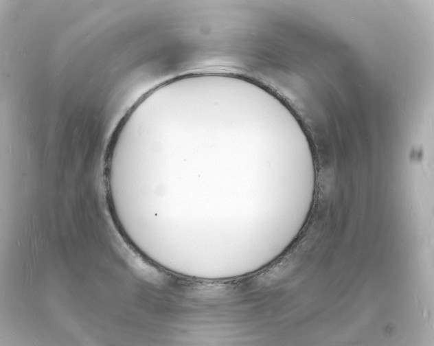 X0000093601470200711051148