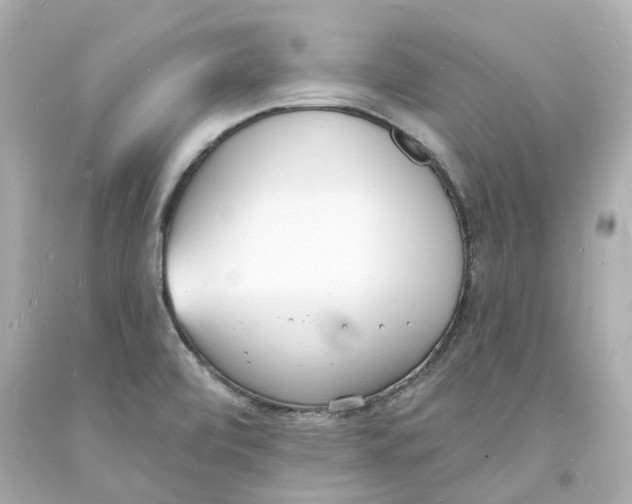 X0000093601472200711051148