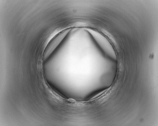 X0000093601473200711051148