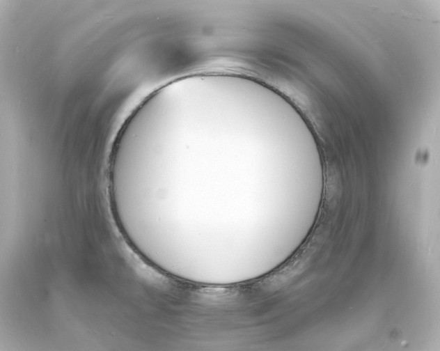 X0000093601478200711051148