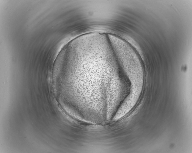 X0000093601481200711051148