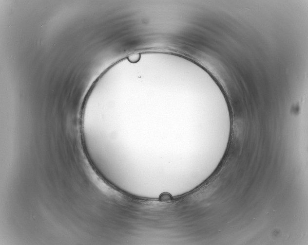 X0000093601482200711051148