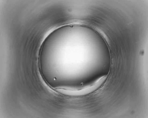 X0000093601483200711051148